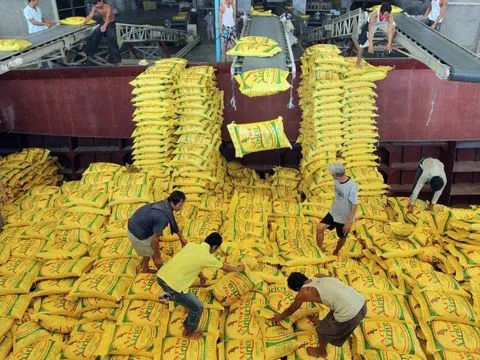 Tình trạng dư thừa gạo và nguy cơ "cuộc chiến giá gạo" ở Châu Á