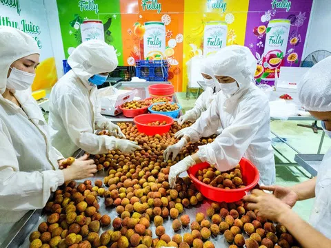 Thúc đẩy xuất khẩu nông sản Việt Nam sang thị trường Australia