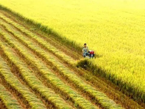 Kiến nghị của HoREA về chủ trương “tập trung đất đai, tích tụ đất đai”