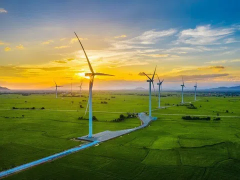Điện gió - 'Chìa khóa' cho năng lượng tái tạo phát triển bền vững