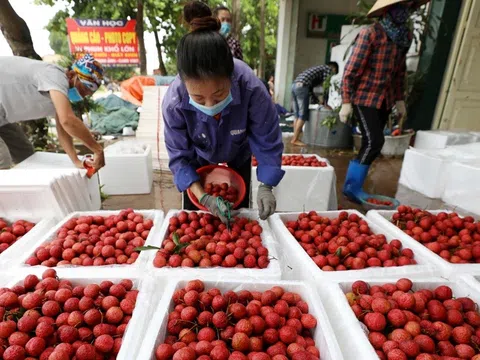 Thích ứng với quy định mới để xuất khẩu trái cây tươi vào Trung Quốc