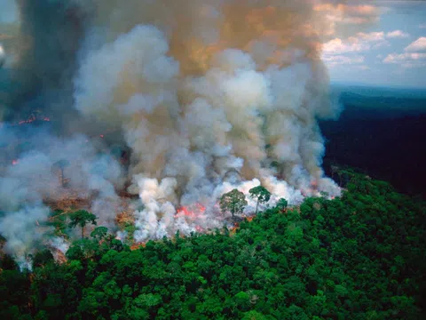 Tình trạng cháy rừng Amazon nghiêm trọng nhất trong gần 15 năm qua