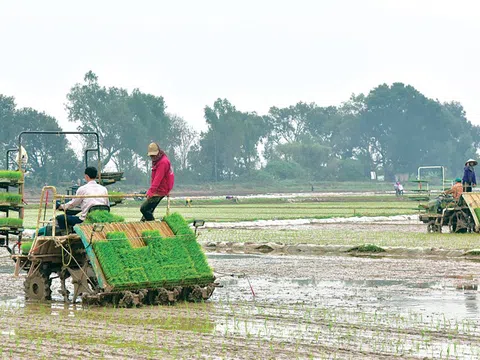 Hà Nội chú trọng thúc đẩy xuất khẩu các sản phẩm nông nghiệp chủ lực
