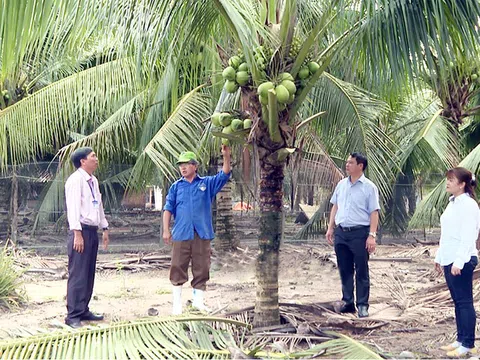 Bến Tre: Từng bước chuyển đổi tư duy từ sản xuất nông nghiệp sang làm kinh tế nông nghiệp