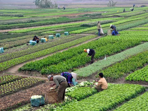 Kế hoạch phát triển tăng trưởng xanh trong nông nghiệp