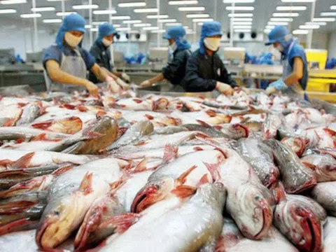 Hoa Kỳ giữ nguyên mức thuế chống phá giá với cá tra, basa từ Việt Nam