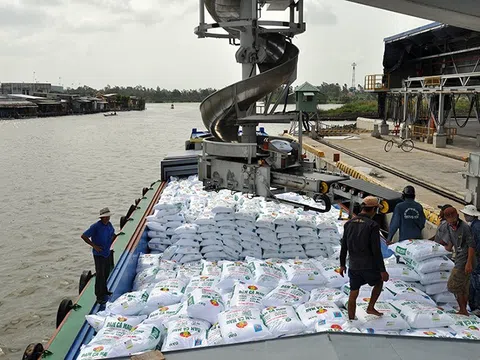 Xuất khẩu phân bón Việt Nam ghi nhận những con số tích cực