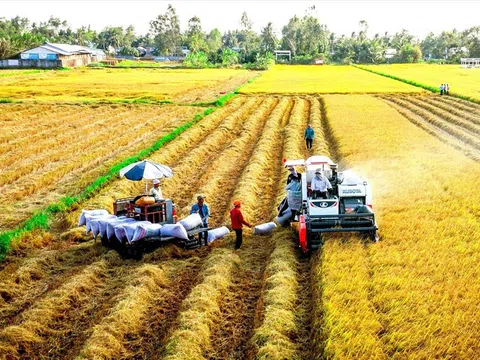Chuyển đổi sản xuất nông nghiệp theo hướng nông nghiệp xanh giúp Việt Nam đạt mục tiêu giảm phát thải