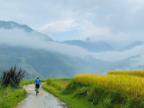 Phụ phẩm nông nghiệp: Tài nguyên còn bỏ ngỏ