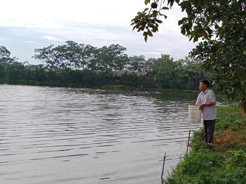 Phát triển các vùng nuôi trồng thủy sản tập trung theo hướng ứng dụng công nghệ cao