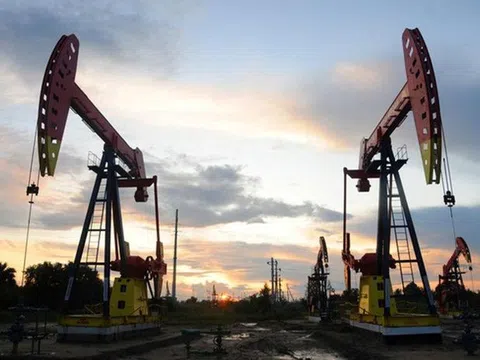 Giá dầu "đảo chiều" tăng trở lại sau 3 phiên giảm liên tiếp