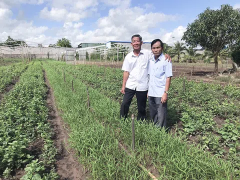 Chân dung cựu chiến binh làm kinh tế giỏi: Dám nghĩ, dám làm, quyết tâm thoát nghèo