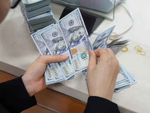 Lấy lại đà tăng, giá USD trong nước xác lập kỷ lục mới