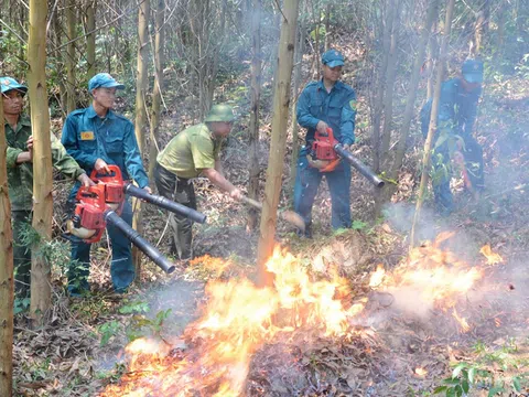 Tăng cường công tác quản lý bảo vệ, phòng cháy, chữa cháy rừng mùa khô