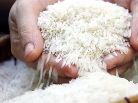 Gạo Việt Nam bán được giá cao nhất, xuất khẩu gạo thu về gần 3 tỷ USD