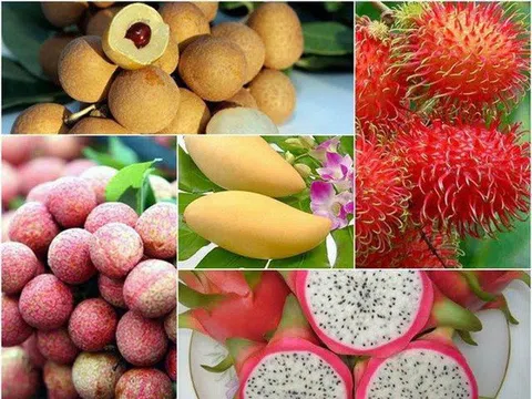 14 loại cây ăn trái chủ lực được tập trung phát triển đến năm 2025 và 2030