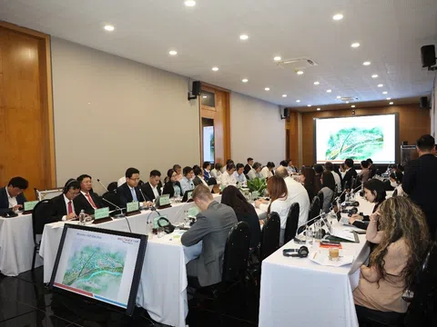 Tổng Công ty Becamex IDC phối hợp UBND tỉnh Bình Định tổ chức Hội nghị trực tuyến xúc tiến đầu tư Hà Lan