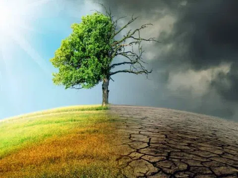 Hội nghị COP 27: Các quốc gia cùng nỗ lực ứng phó với biến đổi khí hậu