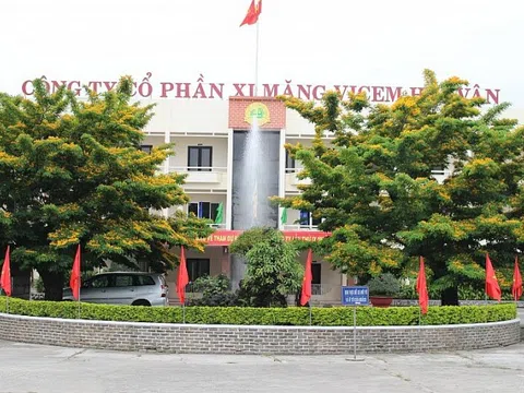 Khai sai thuế, Xi măng Vicem Hải Vân bị phạt và truy thu gần 3.7 tỷ đồng