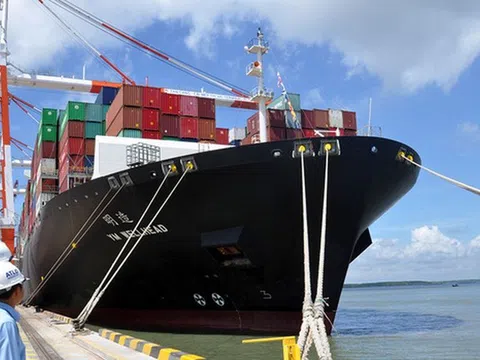 Vì sao hoạt động cảng biển những tháng cuối năm 2022 trầm lắng?