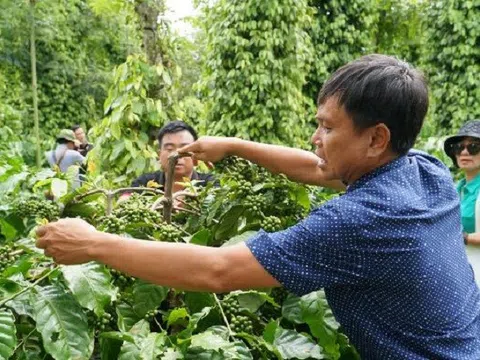 Huy động nguồn lực đầu tư ngoài ngân sách để đưa Đắk Lắk phát triển