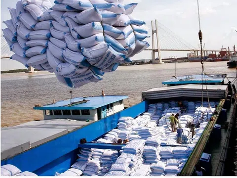 Gần 1 triệu tấn gạo được nhập khẩu vào Việt Nam mỗi năm