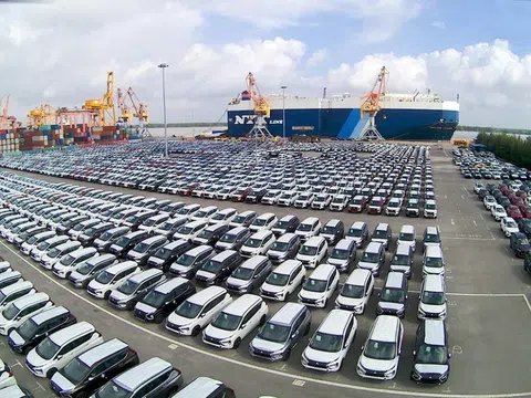 Trong 15 ngày, Việt Nam nhập khẩu kỷ lục gần 16.000 ô tô