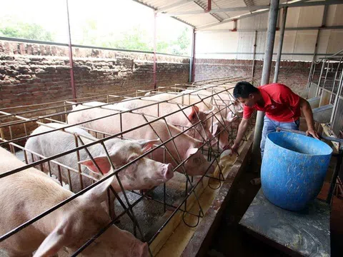 Đắk Lắk: Nâng cao chất lượng sản phẩm nông nghiệp sạch, an toàn đến người tiêu dùng
