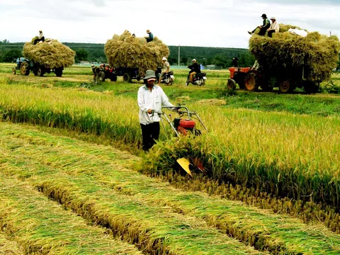 Thúc đẩy làn sóng đầu tư nước ngoài mới vào phát triển nông nghiệp bền vững