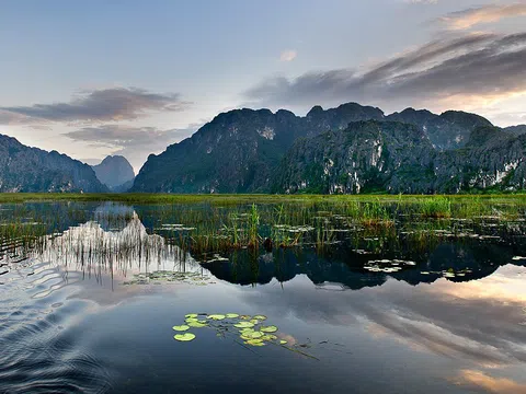 COP15: Thêm 6 nước phát triển hỗ trợ tài chính để bảo tồn các hệ sinh thái toàn cầu