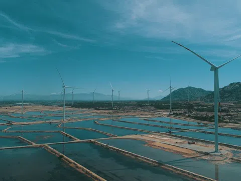 ADB và Điện gió BIM tài trợ 107 triệu USD hỗ trợ năng lượng gió tại Việt Nam
