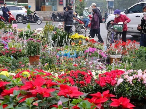 Hà Nội: Phân luồng giao thông phục vụ chợ hoa Tết Nguyên đán 2023