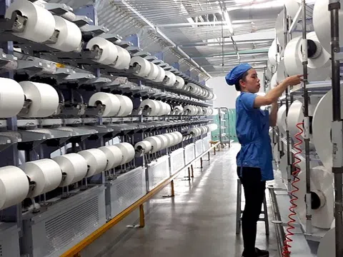 Bộ Công Thương rà soát việc áp dụng biện pháp chống bán phá giá sợi dài làm từ polyester