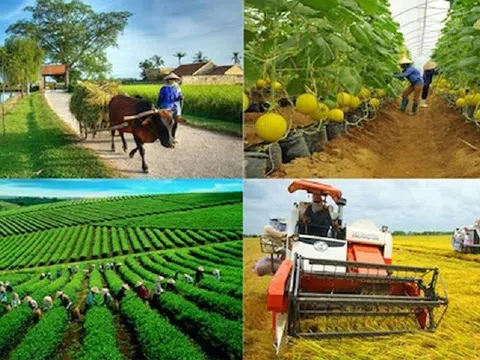 Ngành nông nghiệp tiếp tục đặt mục tiêu tăng trưởng 3%