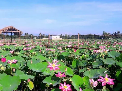 Đồng Tháp: Đẩy mạnh ứng dụng công nghệ của công nghiệp 4.0 phát triển du lịch thông minh