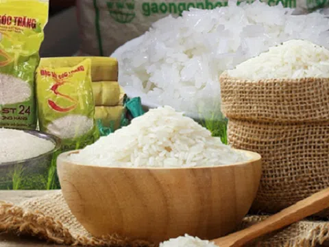 Doanh nghiệp xuất khẩu gạo có nhiều thuận lợi trong năm 2023