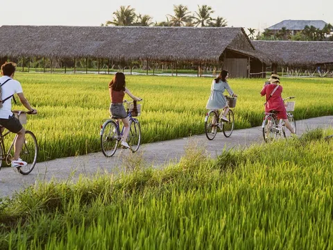Hà Nội: Thúc đẩy du lịch nông nghiệp theo hướng tăng trưởng xanh và bền vững