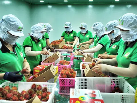 Thúc đẩy tạo thuận lợi xuất khẩu trái cây tươi Việt Nam vào thị trường Hoa Kỳ