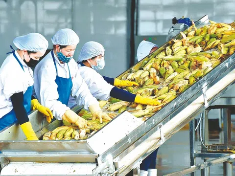 Cơ hội rộng mở cho xuất khẩu nông sản, thực phẩm sạch Việt Nam ra thế giới