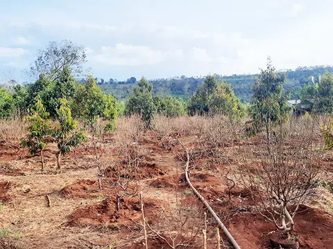 HoREA kiến nghị thí điểm áp dụng hệ số K để quyết định giá đất tại TP. Hồ Chí Minh