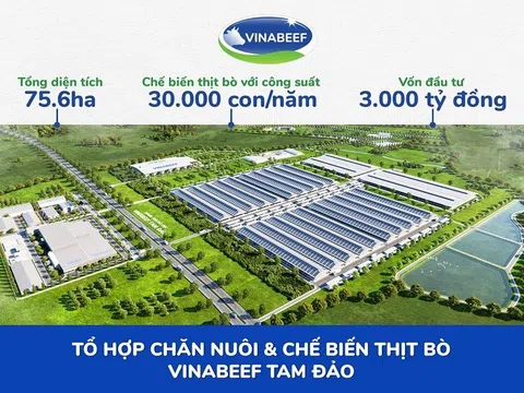 Vĩnh Phúc: Động thổ dự án Tổ hợp chăn nuôi và Chế biến thịt bò Vinabeef Tam Đảo