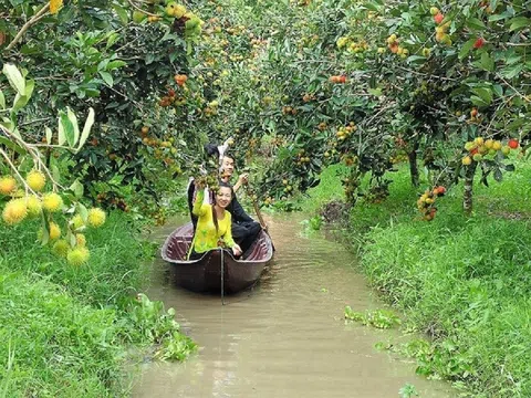 Trung Quốc mở Tour du lịch tới Việt Nam: Cơ hội du lịch sinh thái, du lịch nông nghiệp của Cần Thơ