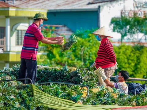 Xây dựng mã số vùng trồng góp phần thúc đẩy chuyển đổi số trong nông nghiệp