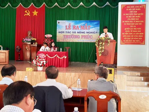 Bình Thuận: Ra mắt Hợp tác xã Nông nghiệp Trường Phúc