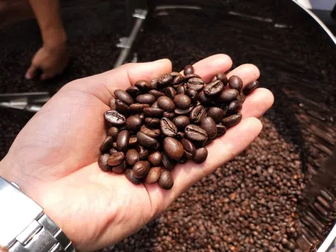 Việt Nam là nguồn cung cà phê lớn nhất cho Tây Ban Nha