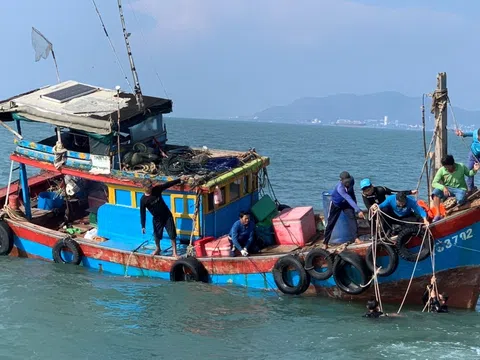 TP. Hồ Chí Minh: Chìm tàu cá 6 người được cứu sống, 1 người tử vong