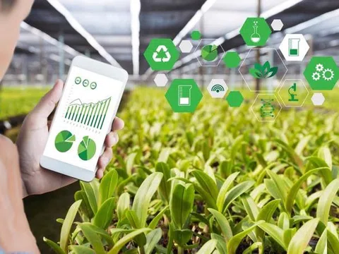 Các ứng dụng trí tuệ nhân tạo đang thay đổi mạnh mẽ sản xuất nông nghiệp
