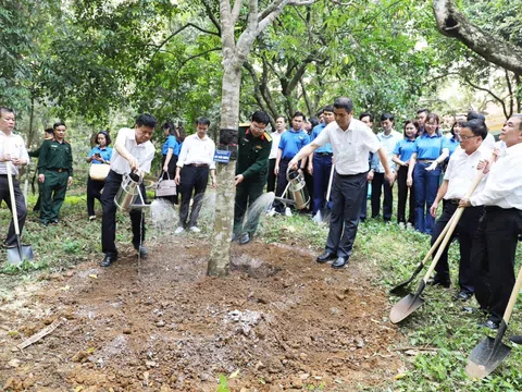 Công ty Supe Lâm Thao trồng 300 cây xanh tại Khu Di tích lịch sử K9 Đá Chông