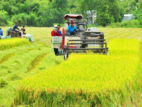 Sản xuất lúa chất lượng cao, phát thải thấp để tăng giá trị ngành lúa gạo Việt Nam