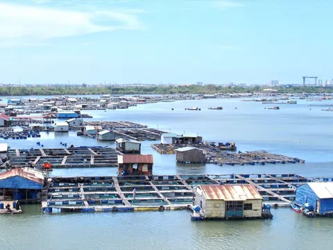 Phát triển chuỗi liên kết giá trị trong nuôi trồng thủy sản trên biển, nâng tầm thủy sản Việt Nam